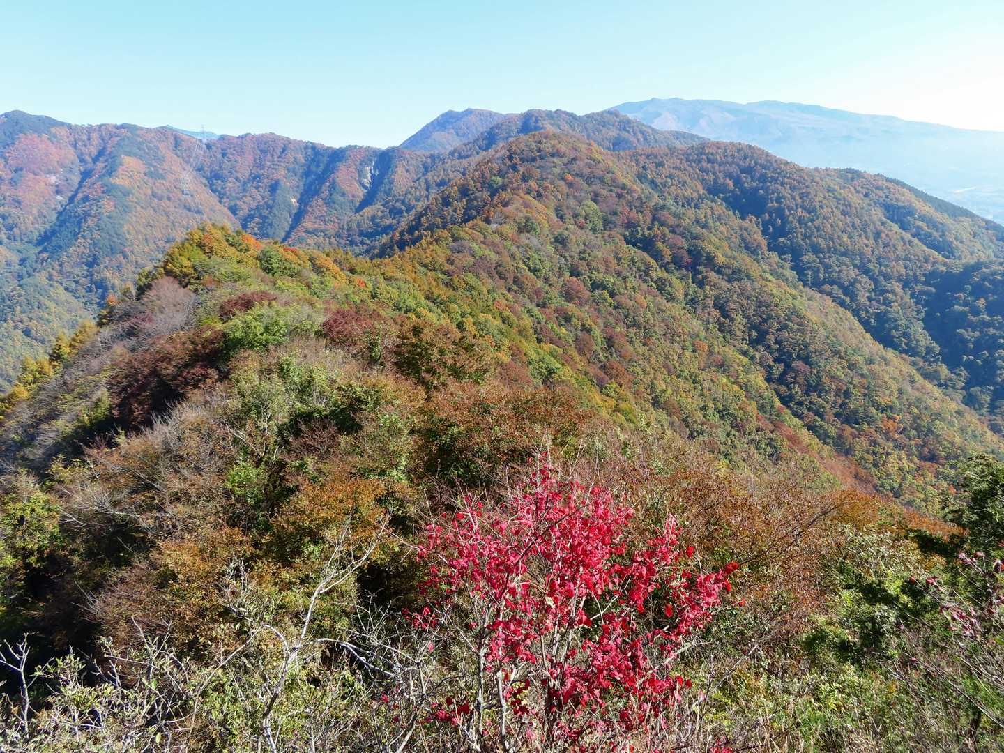 通って来た太郎山からの縦走路を振り返る
