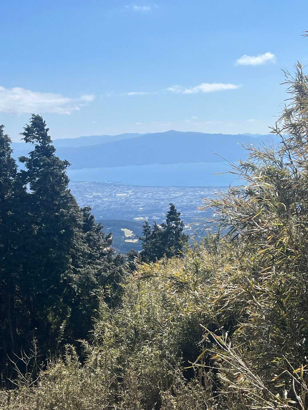 池の平 往復コースの写真