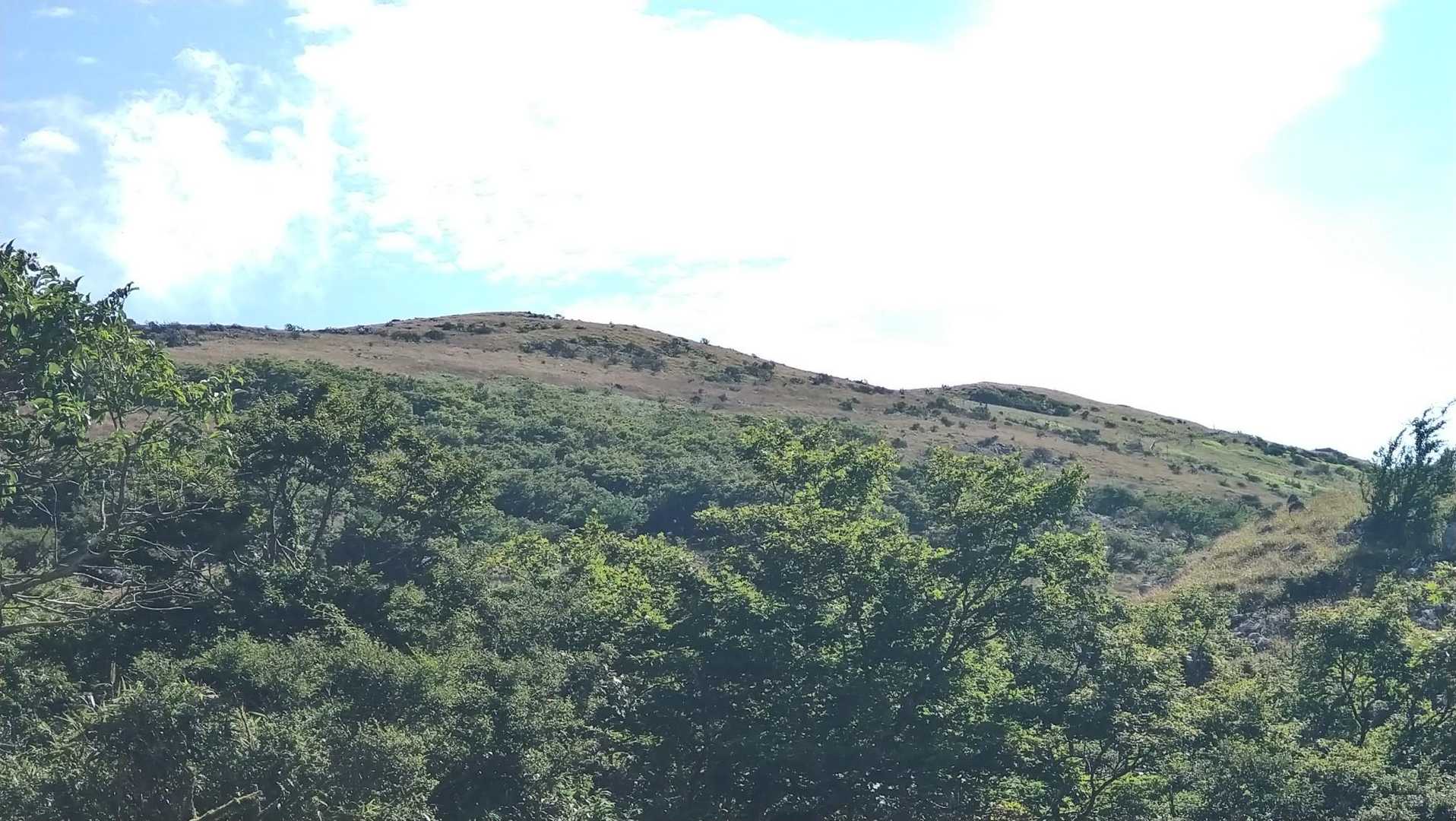 以前はここで鹿の群れを見ました…🦌🦌🦌