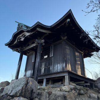 今年も1年よろしくお願いします🙏
年末に放流したおたまは、みんな旅立っていってました✨
全国のお山に連れて行ってもらえたらうれしいな🥰
