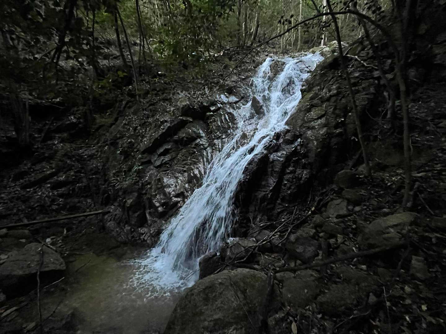 仙ヶ岳-御所峠-ヨコネ-御所平-船石-小太郎峠-臼杵ヶ岳- 周回コースの写真