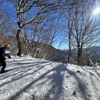 清々しい青空です