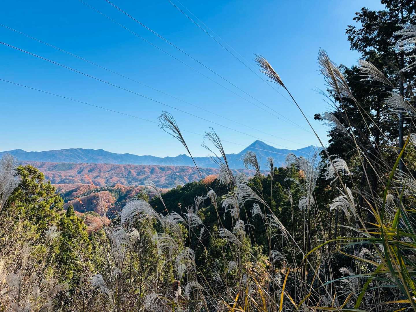 大日如来の次は般若山へ向かってます