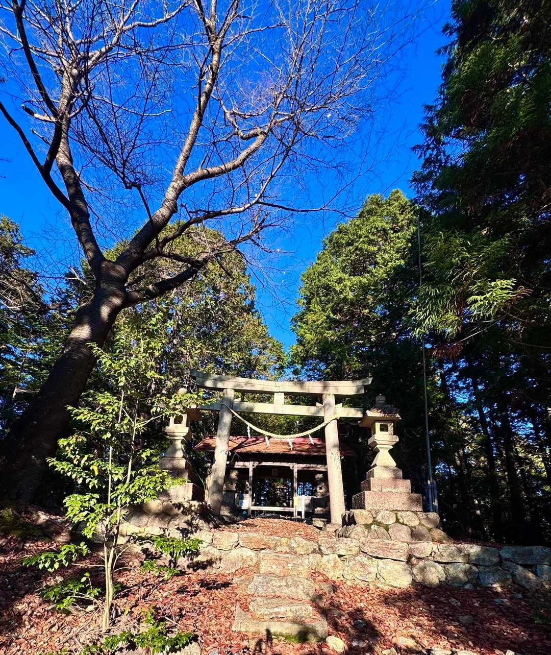 神社⛩️
