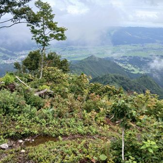 今日はこっち方面に下って行く