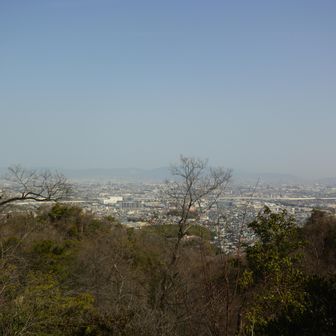 やっぱり霞んでいます