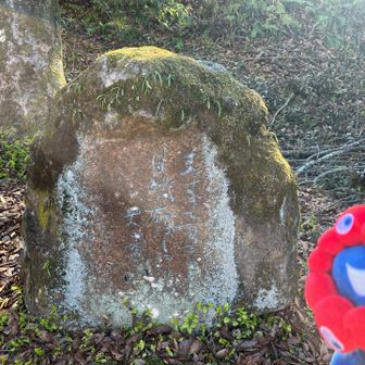 歌碑発見

春すぎて　
夏来にけらし　白妙の　
衣ほすてふ　天の香具山

持統天皇