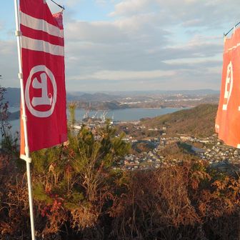 ボロボロの旗しかないのですが気持ちで２枚で新年を迎えてください。新品の旗が欲しいです。