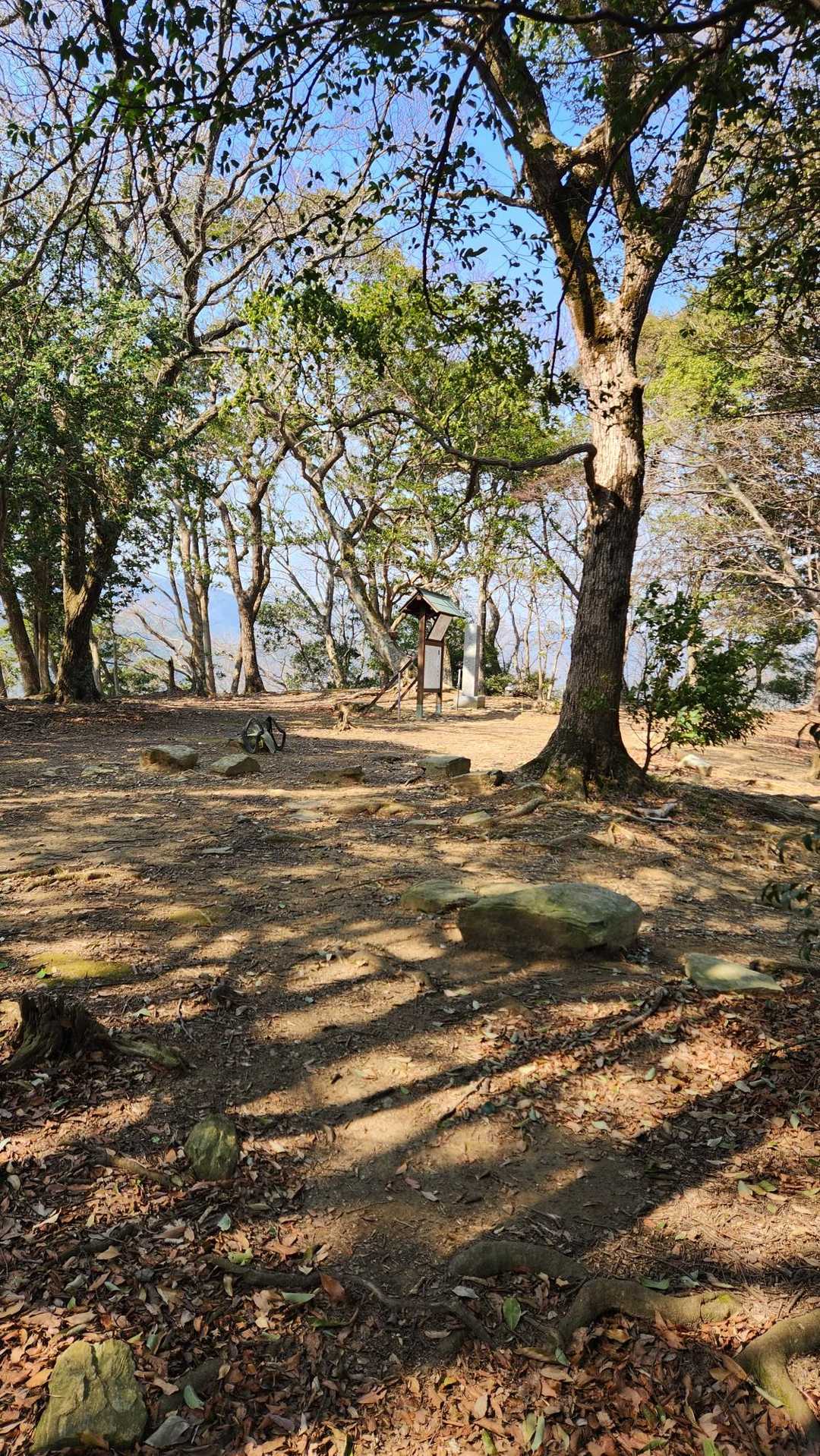 山頂