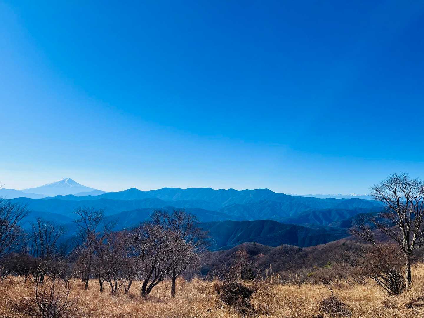 ラスボス鷹ノ巣山へ向かう途中の景色
お天気が最高で雲ひとつ無かった🙌