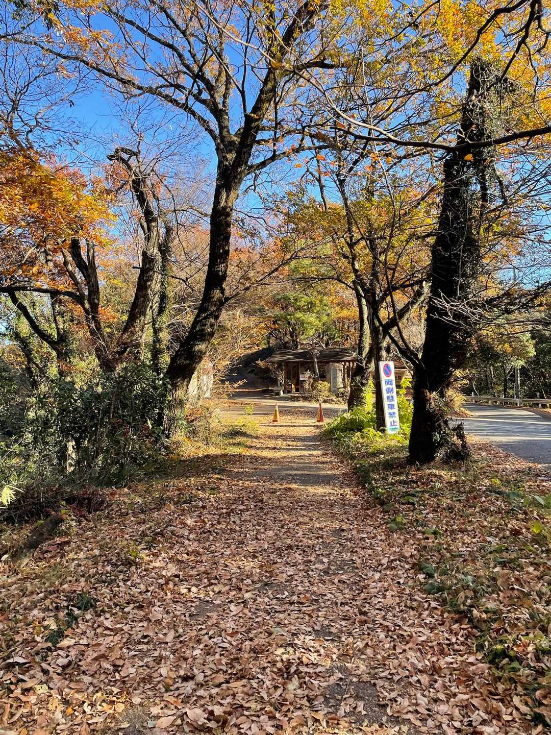 金山 往復コースの写真