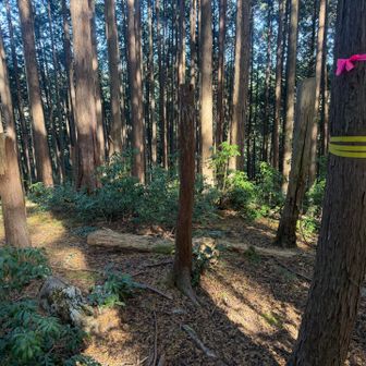 御嶽山山頂…だけど山頂標が見つけられませんでした😭