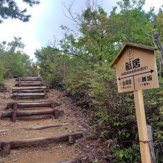 新居てことは浜名湖に戻った？