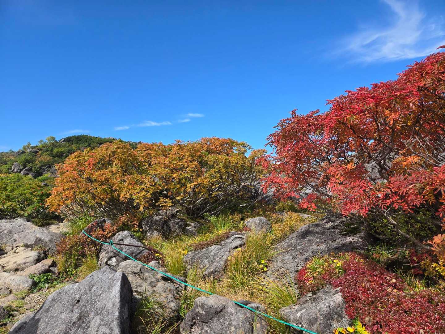 秋ですねー🍁