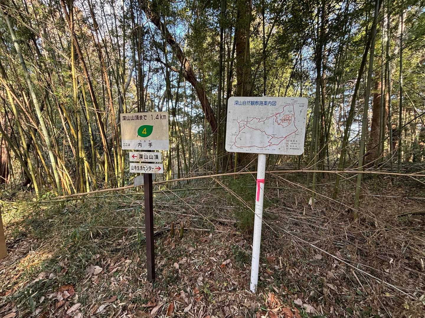 分岐　帰りは山寺生活センター側に行ってみよう