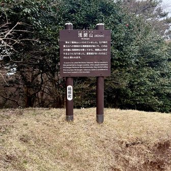 浅間山 標高804m🥰