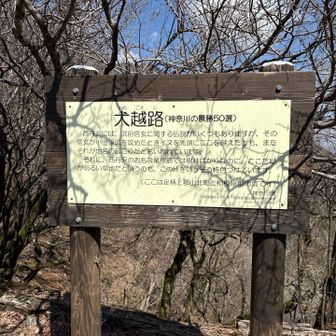 武田信玄が小田原を攻める時、犬🐕を先頭にして越えたんだぁ。