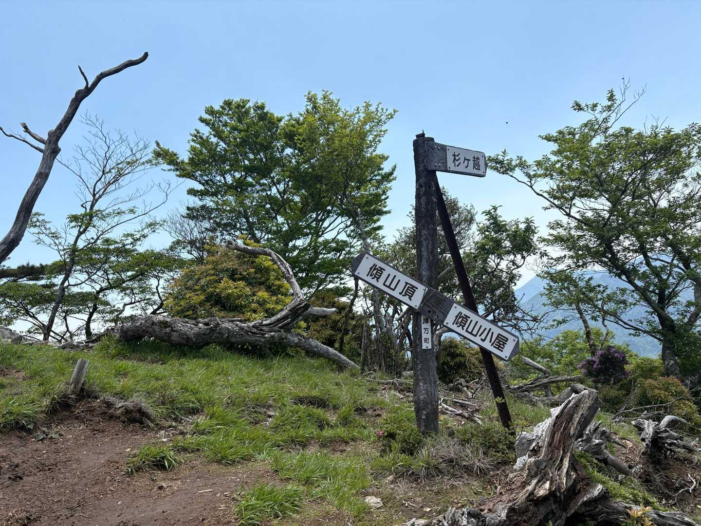 尾平トンネル登山口-丸山-本谷山-笠松山-九折越-傾山 往復コースの写真