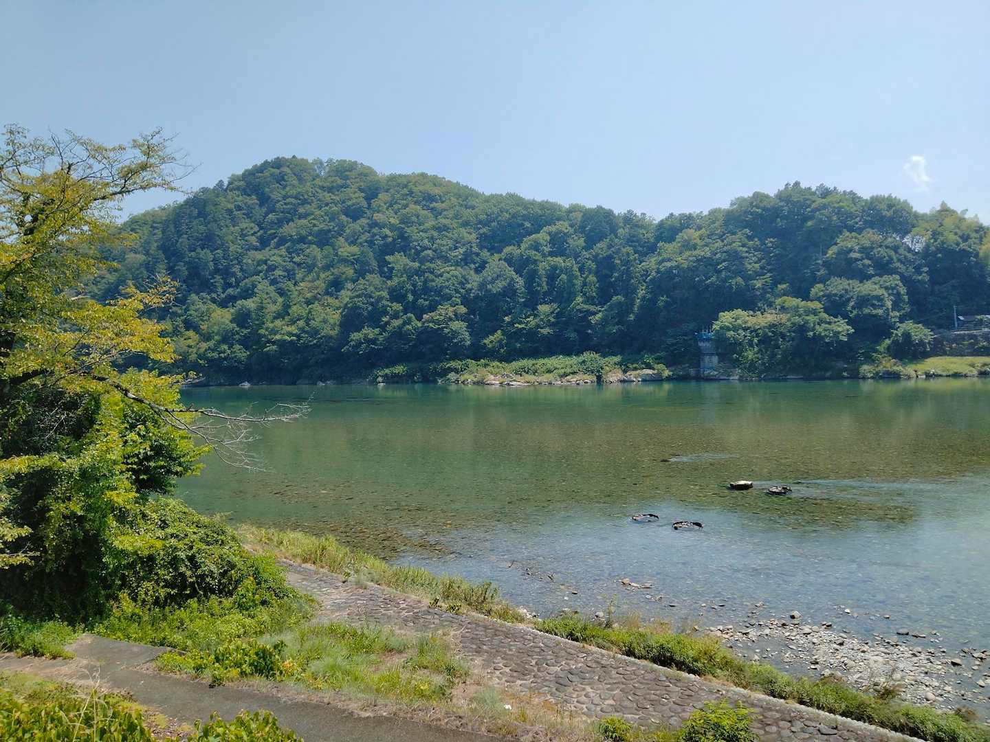 水が綺麗でした