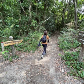 岩屋山取り付き、やはり妻はいいペース、ズンズン行きます
