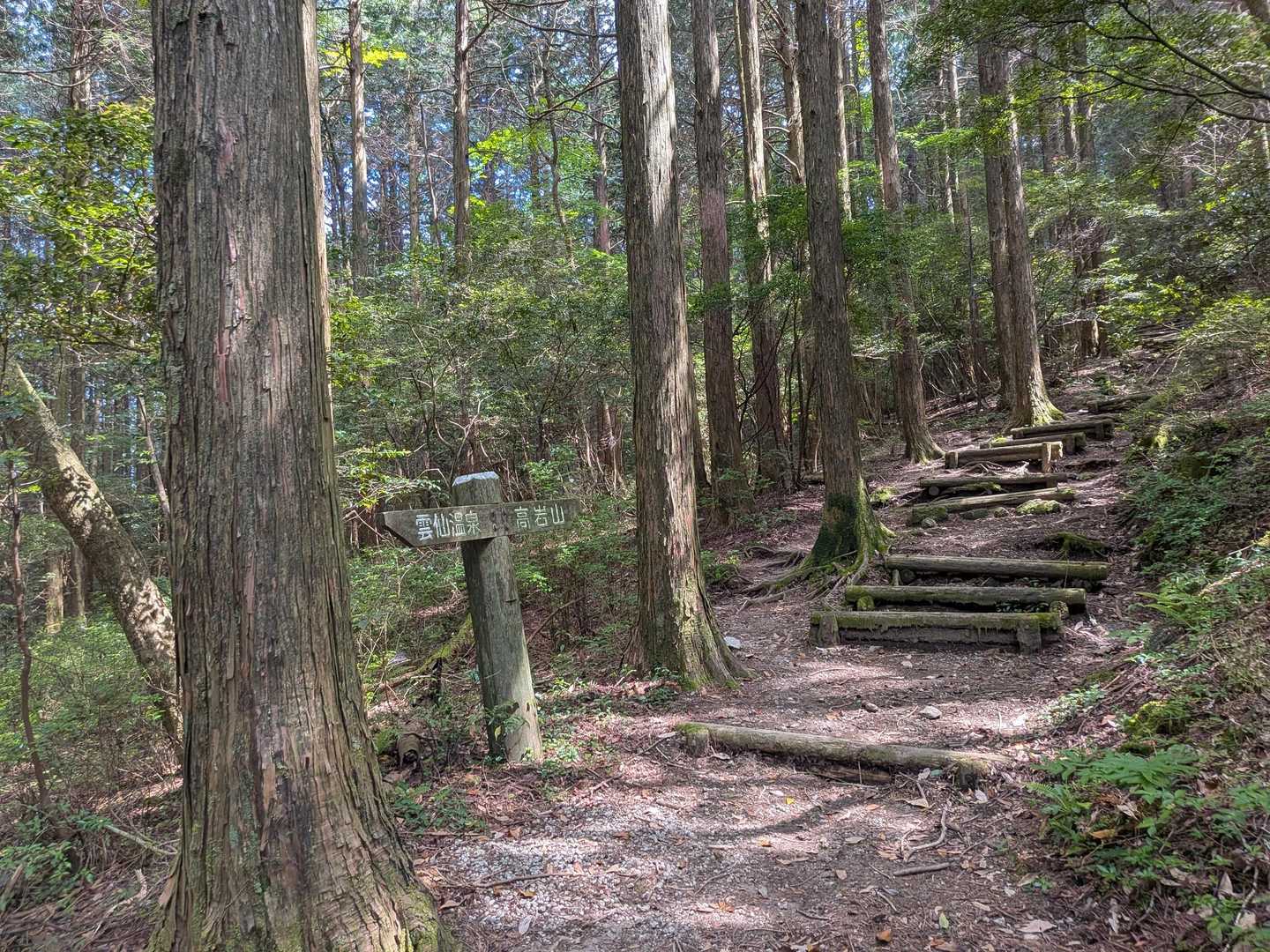 高岩山 往復コースの写真