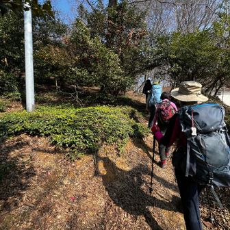麓で地図読みの練習。
山頂でロープワーク練習の予定です。
