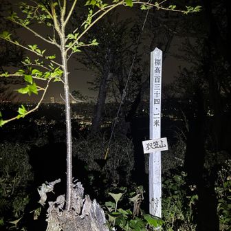 誰も山頂には興味がなかったようで、ここもまた肝試し的な👻切り株から生える新しい枝に生命力を感じます✨