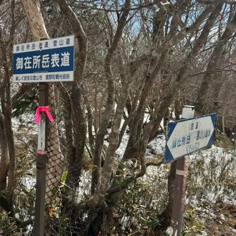 帰りは表道から下山します