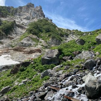 ちょこなん（雨女）