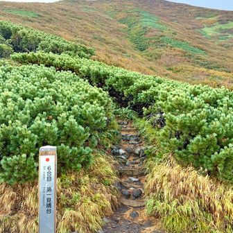 利尻山5合目 第一見晴台⛰️