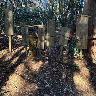 行きに見れなかったから