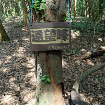 帰りに気づいた「遠望峰（412m）」の表示。マップには山の名は有りません