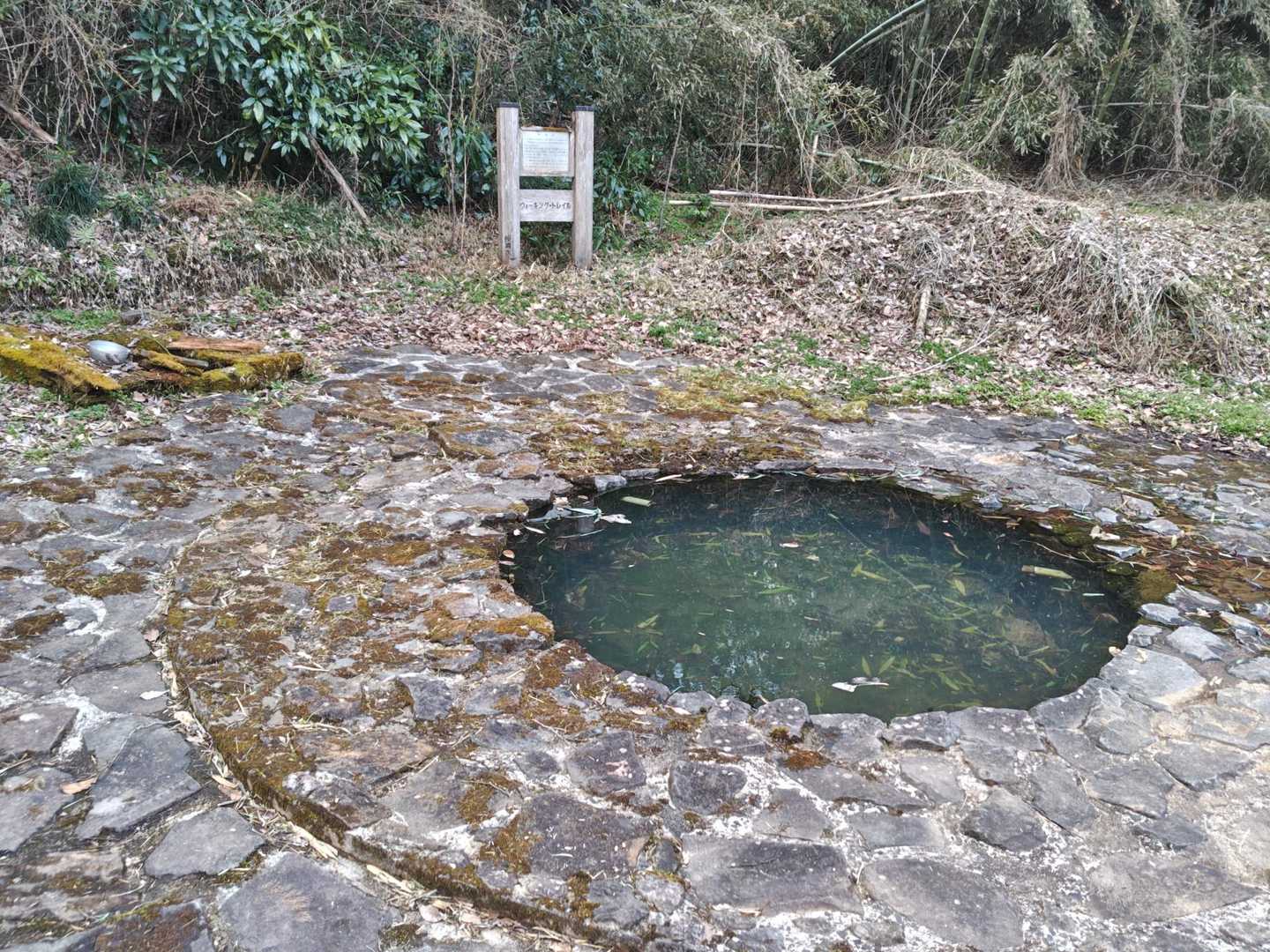 透明な湧き水『桜清水』
養蚕が盛んな頃、この水を使うと艶のある絹になり高く売れると言われ、遠くからも水を汲みに来る人がいた…とφ(･_･