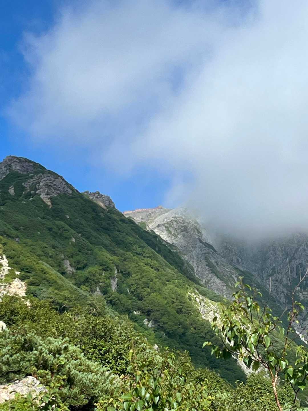 水俣乗越 周回コースの写真