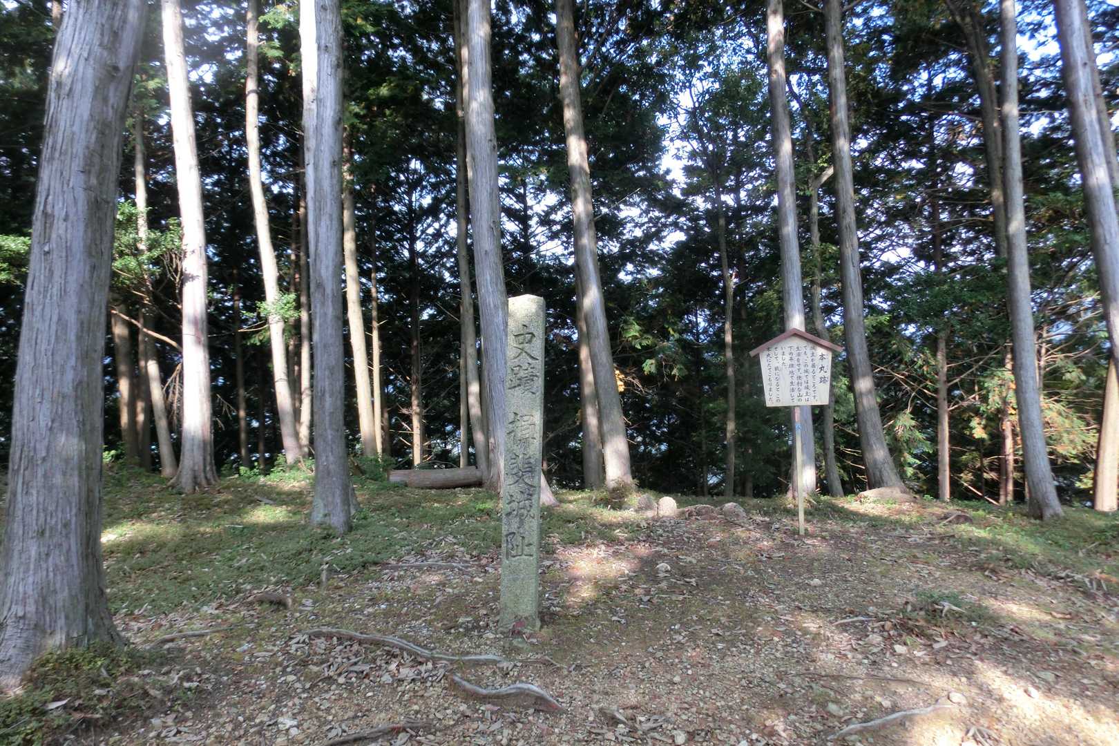 城台山-城ヶ峰 往復コースの写真