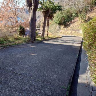 この道を下ると門扉が有って、そこには『イエズス会』って...
ごめんなさい！私有地だったようです。みんなの軌跡が無いのはこういうことだったんですね。もう二度と歩きません💦🙏