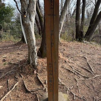 青入山⛰️に立ち寄り！
