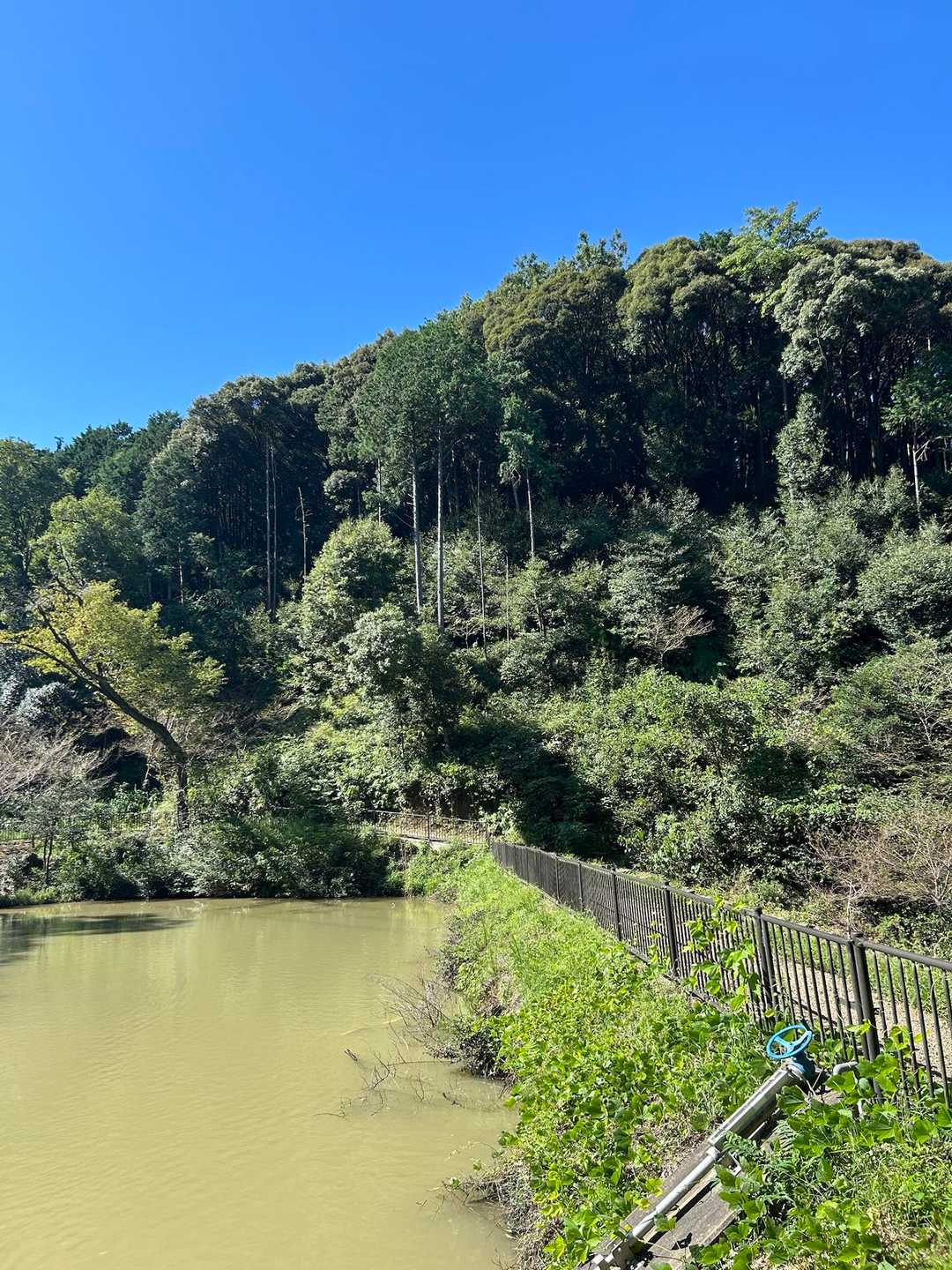大縣神社登山口-尾張本宮山 往復コースの写真