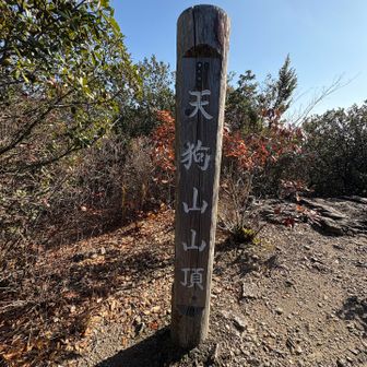眺望はないけど本日の最高地点