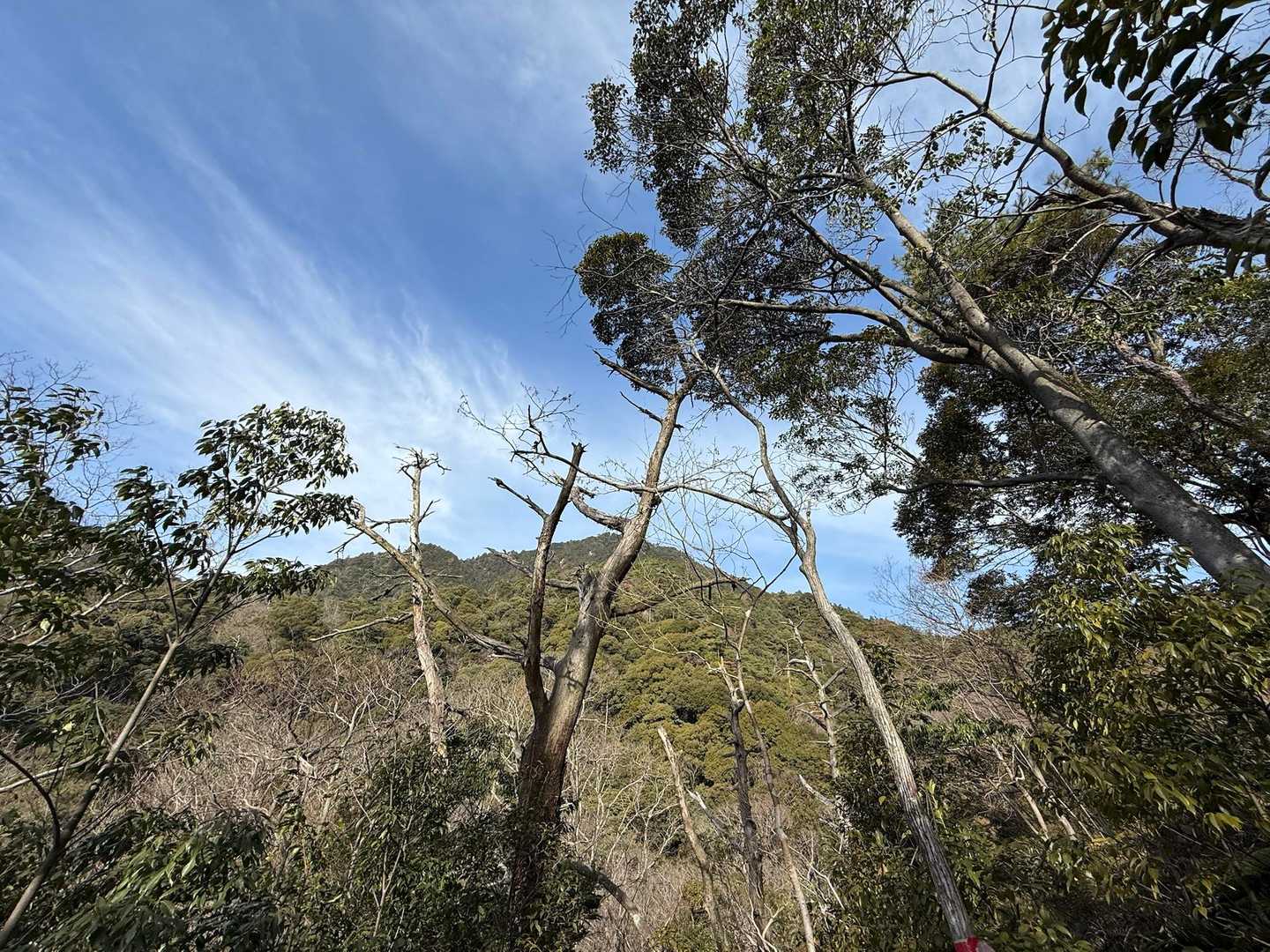 臼杵ヶ岳 周回コースの写真
