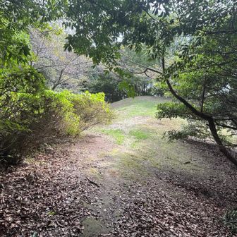 つつじ公園の先、ここら辺に自転車止めて月見山へ😊 