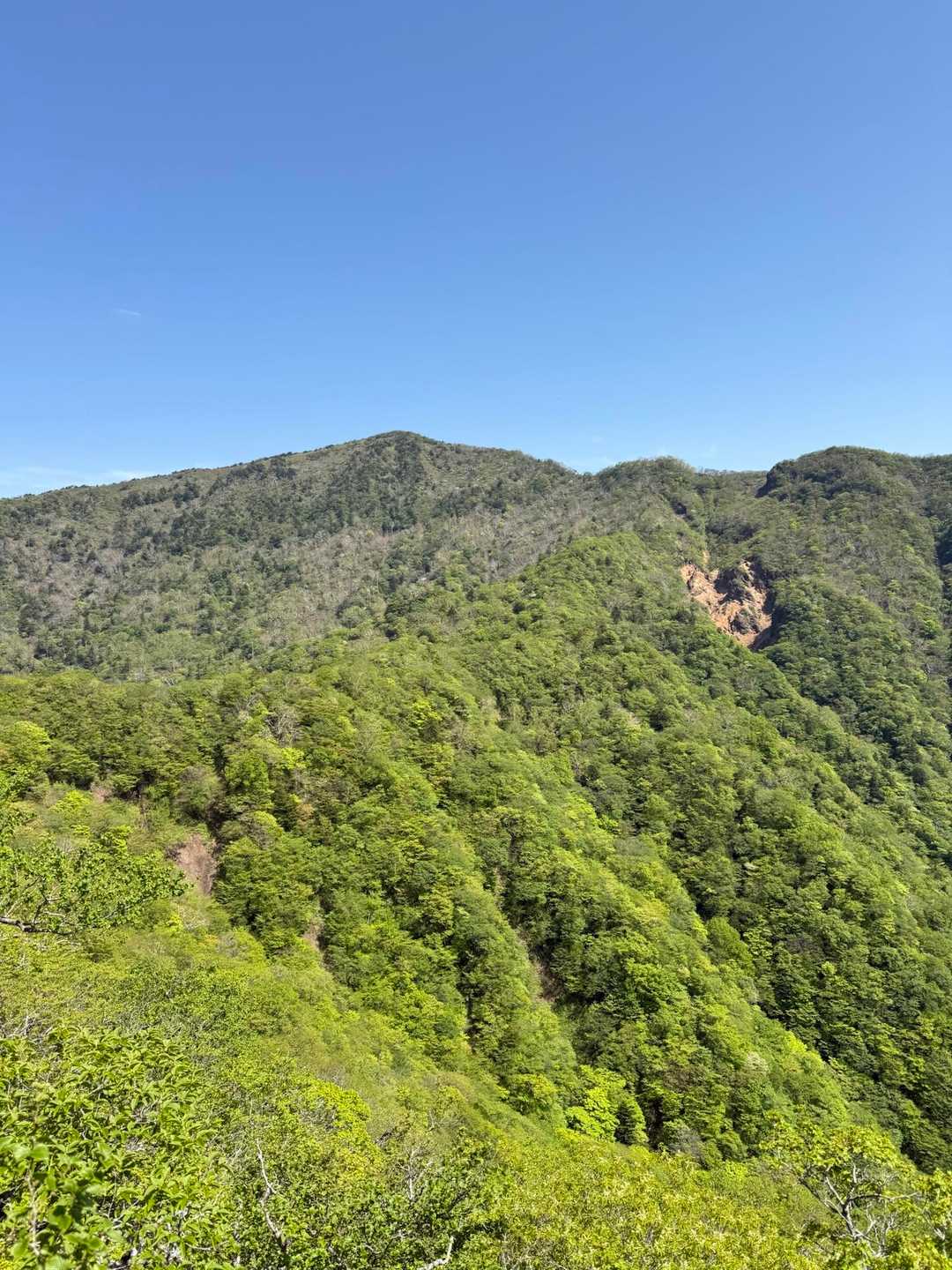 南月山が見えます
