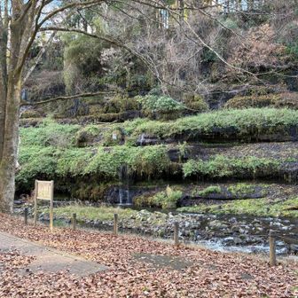 意外に水量が豊富でした