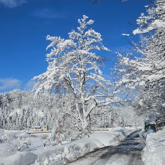 猿毛駐車場スタート
最高の天気