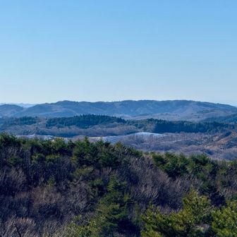 自然林の中に太陽光パネル