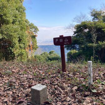 ④戸田山　二等三角点「戸田山」　
今回のルート最高峰