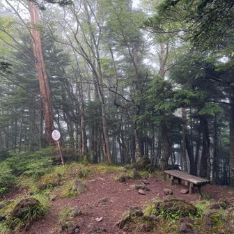 牛首山山頂。真教寺尾根は笹薮が深く（この後も続く）朝露でズボンずぶ濡れ。すぐ乾くからいいけど靴下は替えを持っ来ようと思って忘れたの失敗。