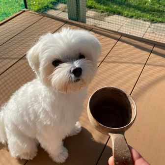 おきょん