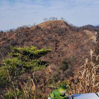 紫山ピークにも立派なベンチとカエルさんが待ってました。このピークは天狗山の展望台デス。