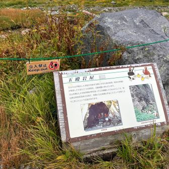 玉殿岩屋方面は、クマの出没頻繁で通行止め？というウワサ。